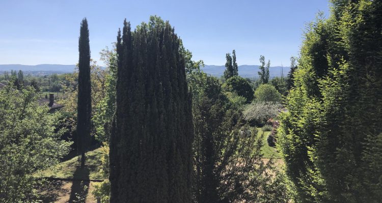 Vente Maison 177 m² à Fareins 440 000 € - Fareins (01480) - 9