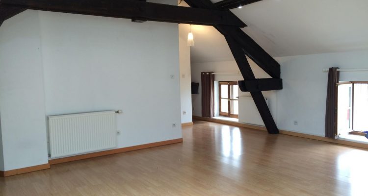Appartement T2 Villefranche-sur-Saône 52m² - Villefranche-sur-Saône (69400     )