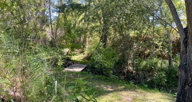 Vente Maison 155 m² à Crillon-le-Brave 680 000 € - Crillon-le-Brave (84410     ) - 3