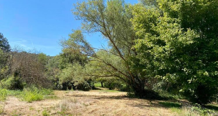 Vente Maison 155 m² à Crillon-le-Brave 680 000 € - Crillon-le-Brave (84410     ) - 5