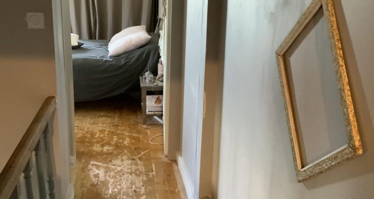 Vente Maison 295 m² à Fareins 430 000 € - Fareins (01480) - 12