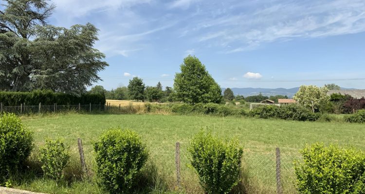 Vente Maison 295 m² à Fareins 430 000 € - Fareins (01480) - 18