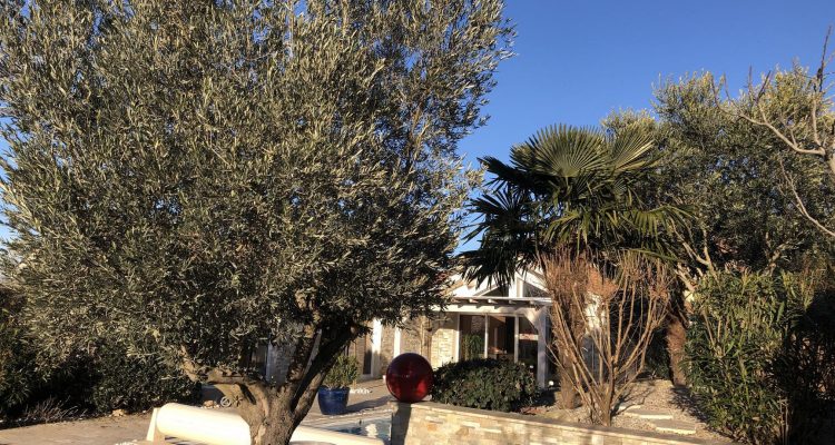Vente Maison 266 m² à Savigneux 699 000 € - Savigneux (01480) - 9