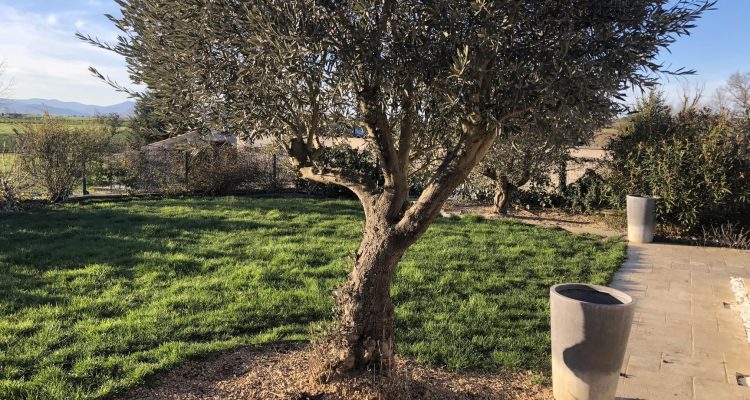 Vente Maison 266 m² à Savigneux 699 000 € - Savigneux (01480) - 12