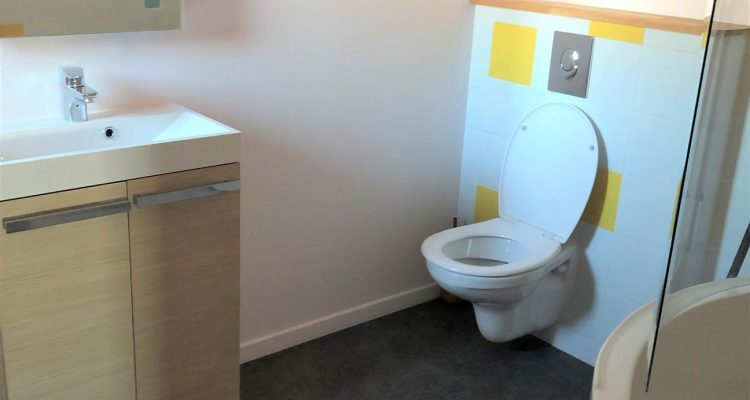 Vente Maison 266 m² à Savigneux 699 000 € - Savigneux (01480) - 20