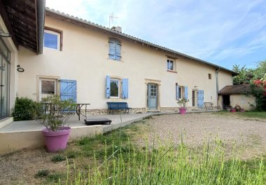 Vente Maison 300 m² à Chaleins 725 000 € - 1