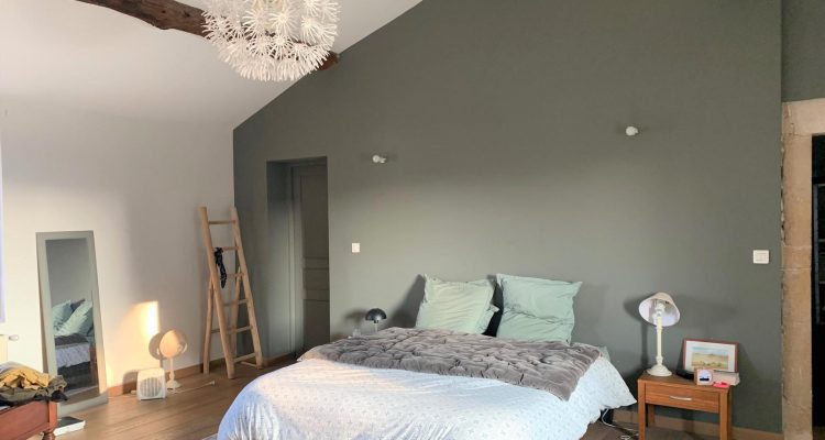 Vente Maison 300 m² à Chaleins 725 000 € - Chaleins (01480) - 2