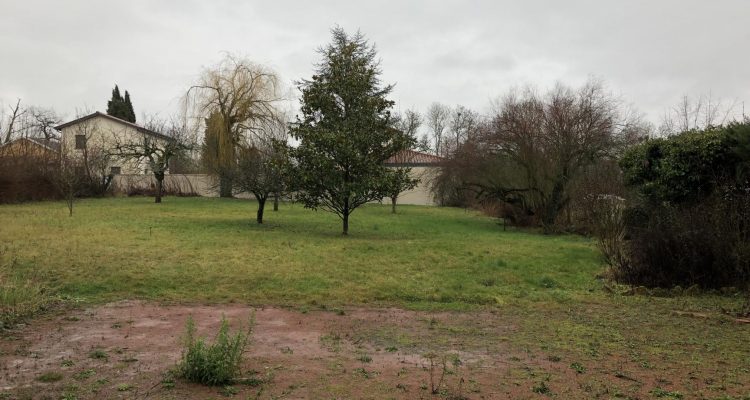 Maison 150m² sur 1500m² de terrain - Fareins (01480) - 18