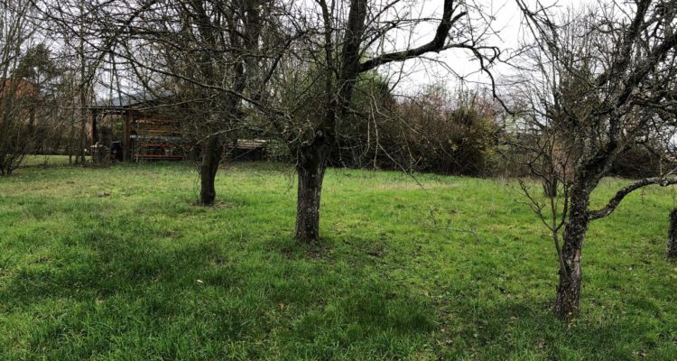 Terrain 1113m² - Messimy-sur-Saone (01480)