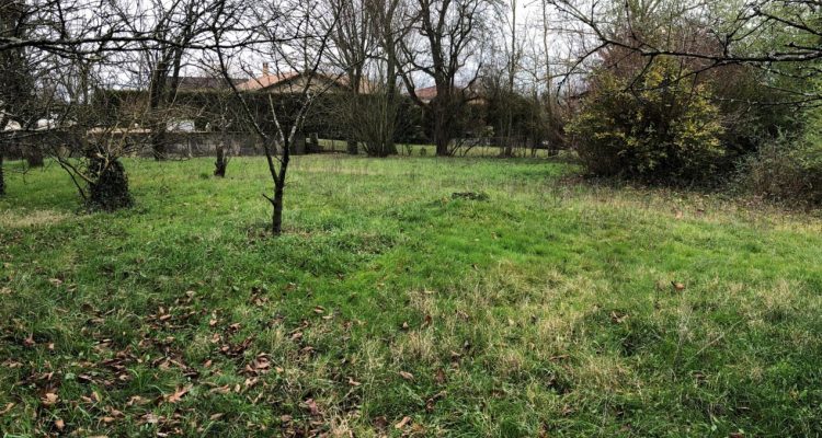 Terrain 1113m² - Messimy-sur-Saone (01480) - 1