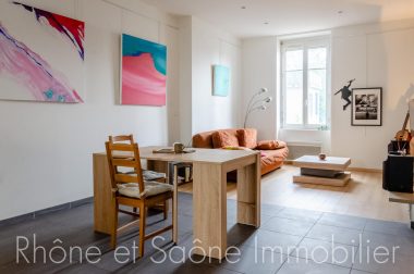 Vente T2 58 m² à Villeurbanne 190 000 € - 1