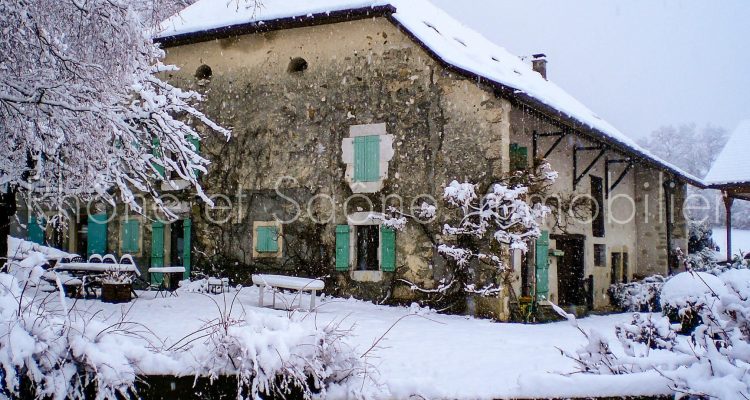 Maison 280m² sur 1471m² de terrain - Cruseilles (74350) - 3