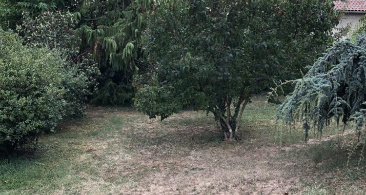 Maison 120m² sur 1016m² de terrain - Jassans-Riottier (01480) - 21