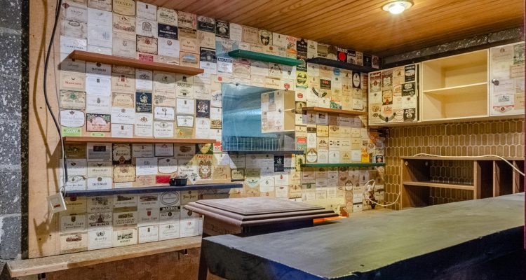 Vente Maison 290 m² à Saint-Didier-de-Formans 490 000 € - Saint-Didier-de-Formans (01600) - 21