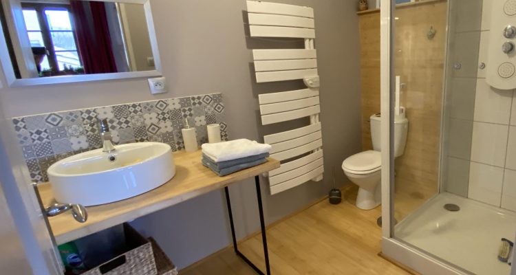 Vente Maison 177 m² à Ars-sur-Formans 470 000 € - Ars-sur-Formans (01480) - 23