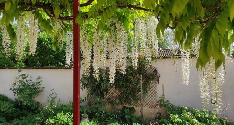 Vente Maison 177 m² à Ars-sur-Formans 470 000 € - Ars-sur-Formans (01480) - 24