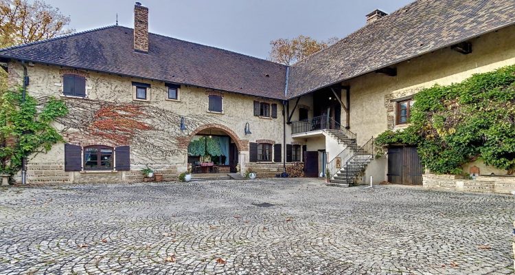Vente Propriété 1500 m² à Savigneux 1 400 000 € - Savigneux (01480)