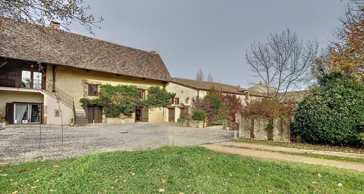 Vente Propriété 1500 m² à Savigneux 1 400 000 € - Savigneux (01480) - 4