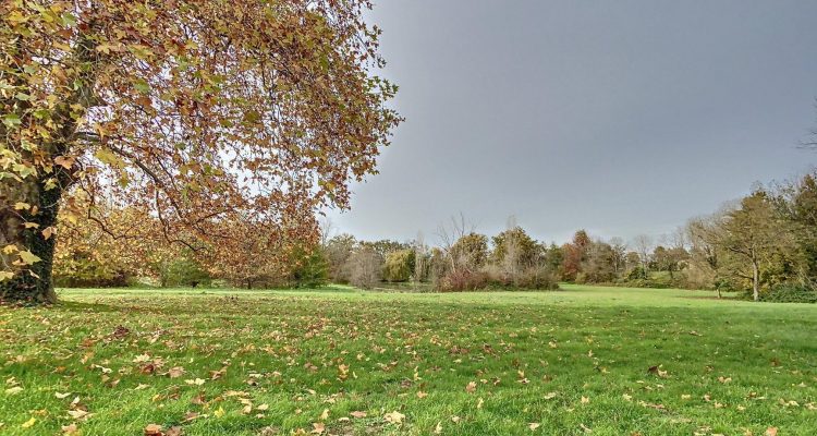 Vente Propriété 1500 m² à Savigneux 1 400 000 € - Savigneux (01480) - 5