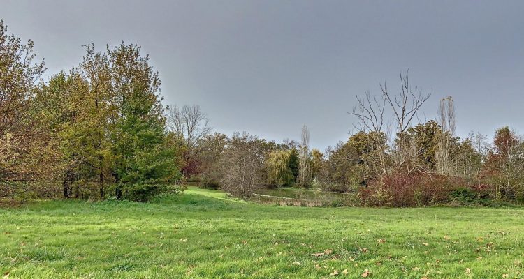 Vente Propriété 1500 m² à Savigneux 1 400 000 € - Savigneux (01480) - 6