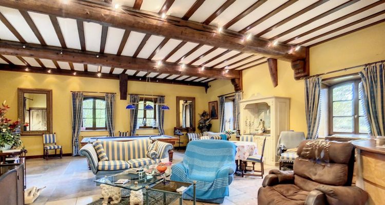 Vente Propriété 1500 m² à Savigneux 1 400 000 € - Savigneux (01480) - 15