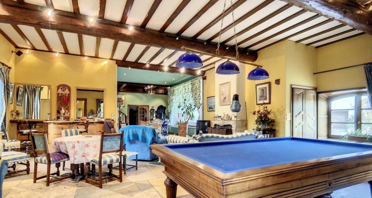 Vente Propriété 1500 m² à Savigneux 1 400 000 € - Savigneux (01480) - 17
