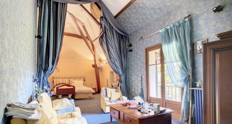 Vente Propriété 1500 m² à Savigneux 1 400 000 € - Savigneux (01480) - 23