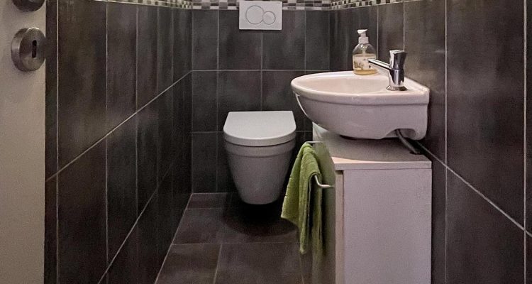 Vente Maison 93 m² à Nièvroz 390 000 € - Nièvroz (01120) - 11
