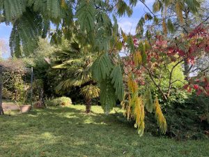 Achat maison avec jardin Jassans-Riottier
