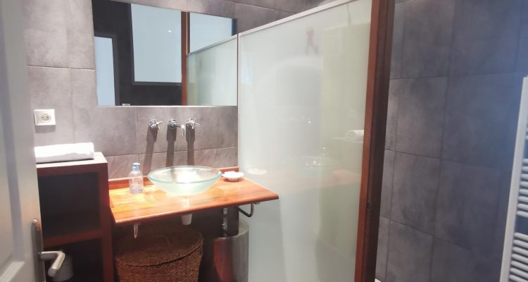 Vente T3 94 m² à Lyon-7eme-Arrondissement 460 000 € - Lyon-7eme-Arrondissement (69007) - 7