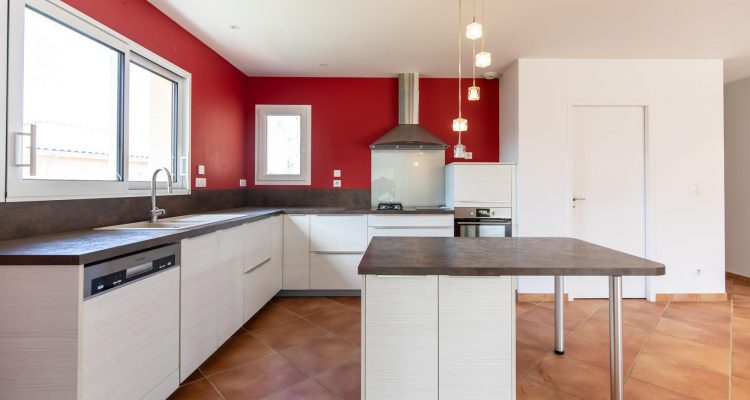 Vente Maison 137 m² à Saint-Didier-de-Formans 570 000 € - Saint-Didier-de-Formans (01600) - 8