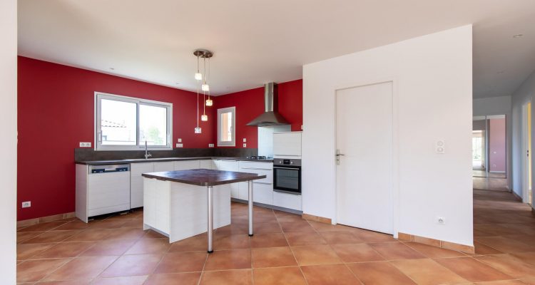 Vente Maison 137 m² à Saint-Didier-de-Formans 570 000 € - Saint-Didier-de-Formans (01600) - 16