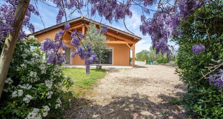 Vente Maison 137 m² à Saint-Didier-de-Formans 570 000 € - Saint-Didier-de-Formans (01600) - 26