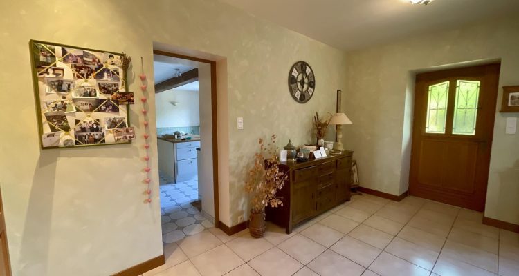 Vente Maison 300 m² à Montluel 590 000 € - Montluel (01120) - 6