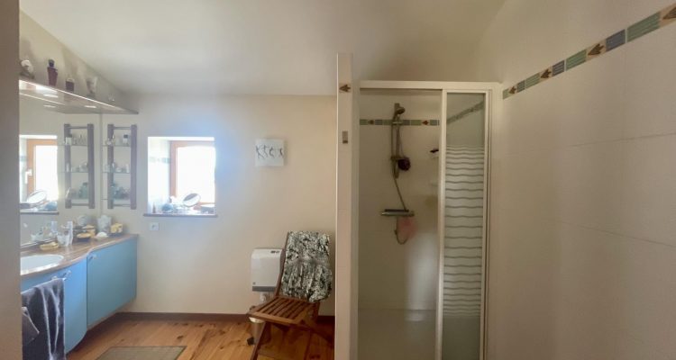 Vente Maison 300 m² à Montluel 590 000 € - Montluel (01120) - 17