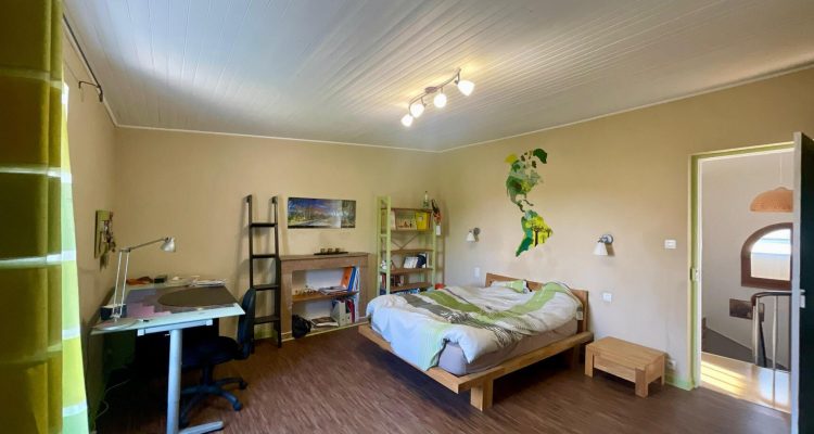 Vente Maison 300 m² à Montluel 590 000 € - Montluel (01120) - 24