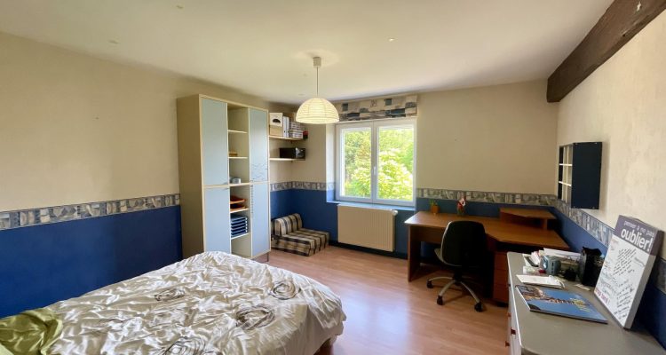 Vente Maison 300 m² à Montluel 590 000 € - Montluel (01120) - 27