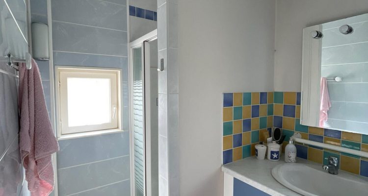 Vente Maison 300 m² à Montluel 590 000 € - Montluel (01120) - 28