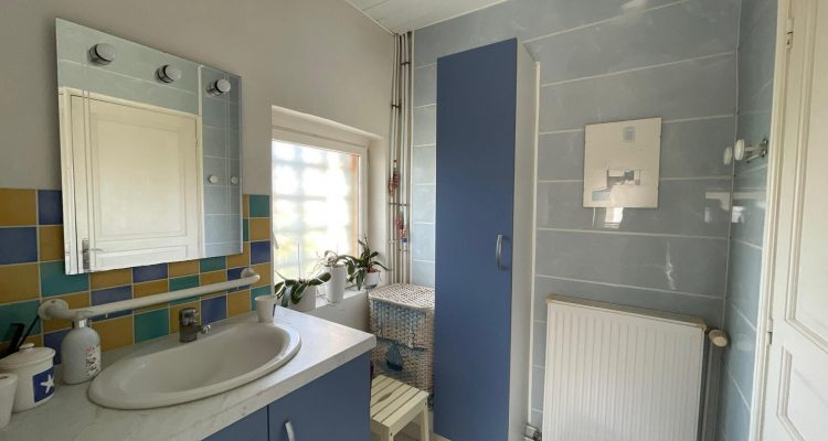 Vente Maison 300 m² à Montluel 590 000 € - Montluel (01120) - 29