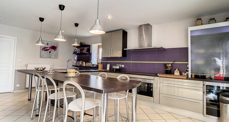 Vente Maison 245 m² à Châtillon-sur-Chalaronne 475 000 € - Châtillon-sur-Chalaronne (01400) - 6
