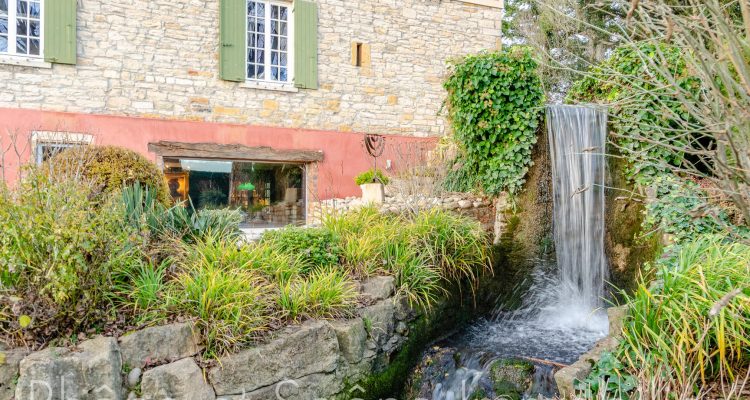 Vente Propriété 721 m² à Ars-sur-Formans 2 575 000 € - Ars-sur-Formans (01480) - 4