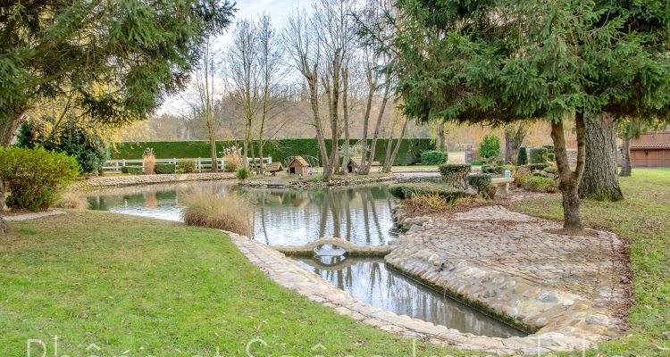 Vente Propriété 721 m² à Ars-sur-Formans 2 575 000 € - Ars-sur-Formans (01480) - 8