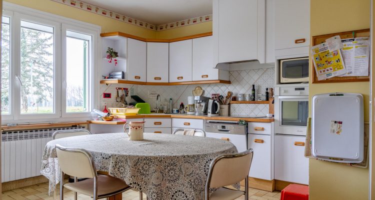 Vente Maison 290 m² à Saint-Didier-de-Formans 450 000 € - Saint-Didier-de-Formans (01600) - 5