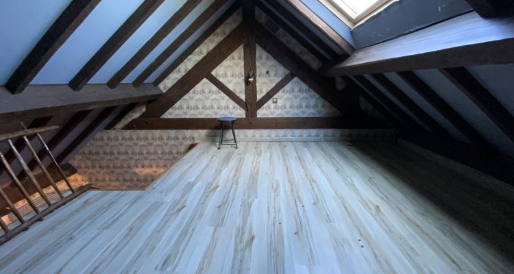 Vente Maison 290 m² à Saint-Didier-de-Formans 450 000 € - Saint-Didier-de-Formans (01600) - 10