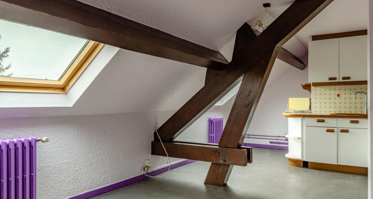 Vente Maison 290 m² à Saint-Didier-de-Formans 450 000 € - Saint-Didier-de-Formans (01600) - 13