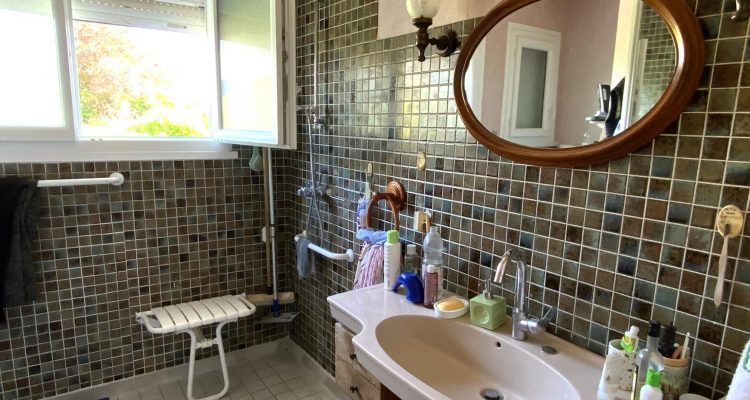 Vente Maison 290 m² à Saint-Didier-de-Formans 450 000 € - Saint-Didier-de-Formans (01600) - 14