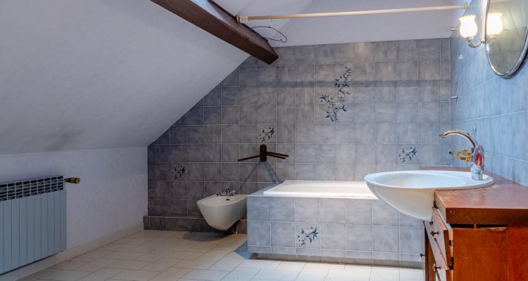 Vente Maison 290 m² à Saint-Didier-de-Formans 450 000 € - Saint-Didier-de-Formans (01600) - 17