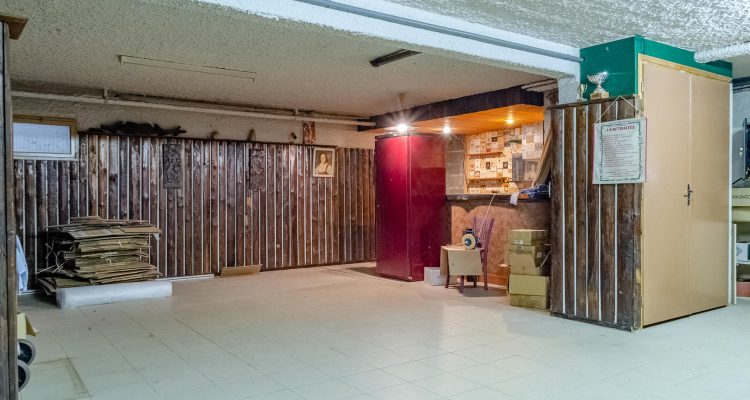 Vente Maison 290 m² à Saint-Didier-de-Formans 450 000 € - Saint-Didier-de-Formans (01600) - 18