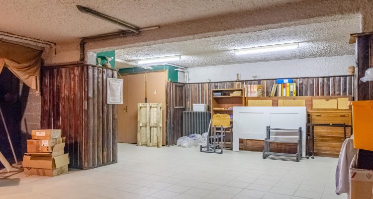 Vente Maison 290 m² à Saint-Didier-de-Formans 450 000 € - Saint-Didier-de-Formans (01600) - 19