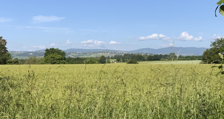 Vente Maison 290 m² à Saint-Didier-de-Formans 450 000 € - Saint-Didier-de-Formans (01600) - 24